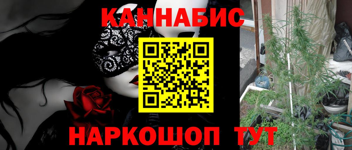 Конопля план  Вход с VPN  Конопля LSD WEED  Белгород  Бошки Шишки LSD WEED  Канабис гибрид 